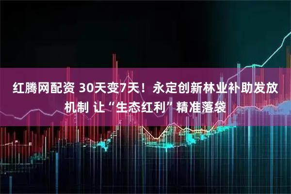 红腾网配资 30天变7天！永定创新林业补助发放机制 让“生态红利”精准落袋