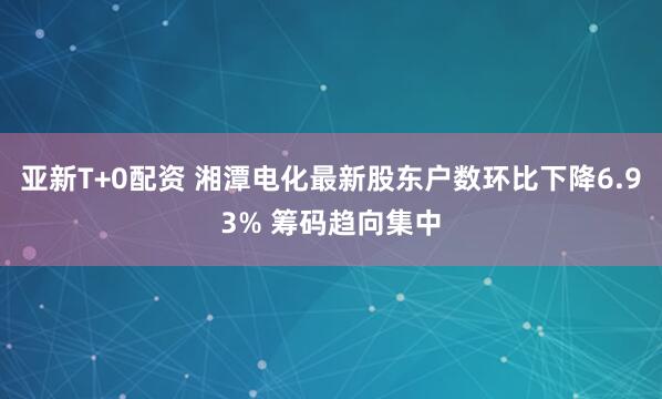 亚新T+0配资 湘潭电化最新股东户数环比下降6.93% 筹码趋向集中
